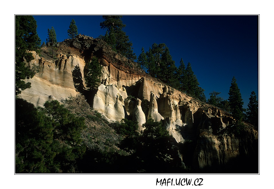 canaria06_05_23 .jpg